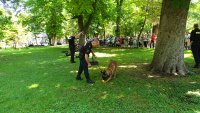 снимка 3 В Пловдив отбелязаха Деня на детето с различни прояви