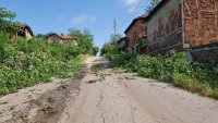 снимка 1 Отнесени покриви, паднали дървета и частично бедствено положение в Ловешко (СНИМКИ)