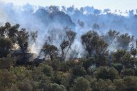 55-годишен мъж загина при пожар в Гърция