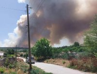 Голям пожар гори в Плевенско (СНИМКИ)