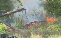 Пожар изпепели дървени постройки край главния път Варна - Бургас