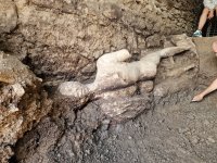Откриха огромна мраморна статуя на божество в Хераклея Синтика край Петрич