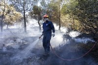 Два пожара горят на остров Тасос след силни мълнии
