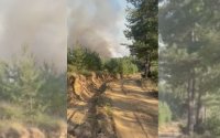 Към момента няма опасност за жителите в района на Петрич заради пожара на границата