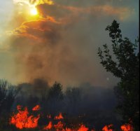 Локализиран е пожарът в Средна гора по целия периметър в общините Хисаря и Калояново
