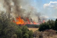 Голям пожар пламна и близо до границата между България и Турция