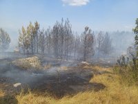 Гори пожар в близост до територията на Национален парк „Пирин“
