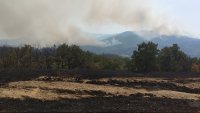 24 часа битка с огъня: Пожарникари, военни и доброволци гасят пламъците край Отец Паисиево