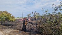 Чешки хеликоптер спаси от огнено бедствие пловдивското село Скутаре