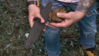 Отломките, открити в Румъния, са от дрон, който Русия използва в атаките срещу Украйна