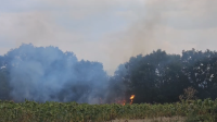 Множество гръмотевици запалиха част от полето между гр. Харманли и село Брягово