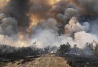 Пожар пламна в района на пазарджишкото село Априлци