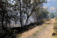 Пожарът в Отец Паисиево е локализиран, огнеборци и военнослужещи следят обстановката в района