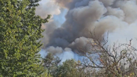 1000 дка е засегнатата площ от пожара край Харманли