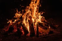До 5000 лева глоба за туристи, палили огън в защитена местност