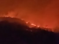 Пожар горя тази нощ в северозападна Стара планина