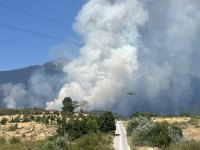 Военен хеликоптер вече се бори с пожара в района на село Сенокос (ВИДЕО)