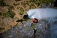 Испански самолети се включват в гасенето на пожара на българо-гръцката граница
