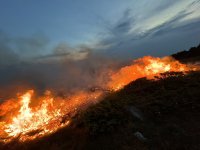 Пожарът край Чуйпетлово на Витоша е локализиран (СНИМКИ И ВИДЕО)