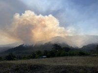 Нов пожар навлезе в България от Гърция