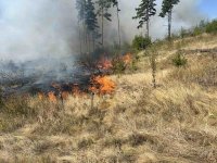 Пожар гори край Самоков, заплашва село Алино (СНИМКИ)