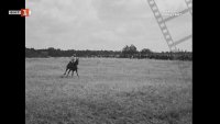 снимка 1 Олимпийските игри в Берлин 1936 - впечатляващи и новаторски (ВИДЕО)