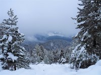 Up to 40 centimetres of snow in the Rhodope mountains