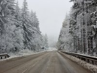 A tree fell metres away from a van, situation on Petrohan mountain pass remains difficult