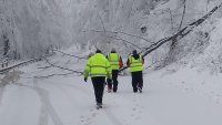 Petrohan Mountain Pass temporarily closed for 'dangerous trees' removal