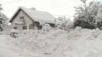 Winter conditions caused power cuts in dozens of settlements in Bulgaria