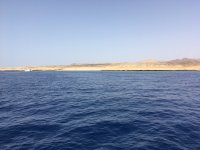 Американски изтребител е свален над Червено море от приятелски огън