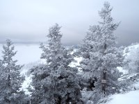 Валежи от дъжд и сняг в Северозападна България