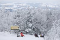 Лошото време наруши въздушния трафик и жп транспорта в Германия