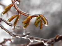 Облачно време днес, от утре ще се прояснява