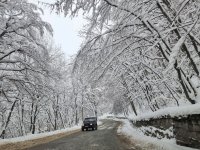 Увеличават броя на автобусите до Витоша и преустановяват достъпа на автомобили в почивните дни