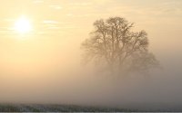 Слънчево време в петък със сутрешни мъгли