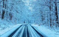 Malko Tarnovo - Bulgari road closed to traffic due to fallen trees