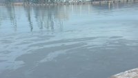 Има ли замърсяване в морето край Варна?
