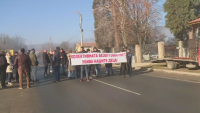 Кравите са постоянно на пътя - докога?