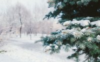 Опасност от поледици в Западна България