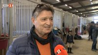 Стоица Аргилашки: Конният спорт е спортът на дълголетието