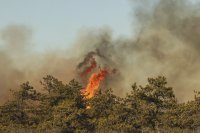 Властите в Ню Йорк обявиха бедствено положение заради горски пожари (СНИМКИ)