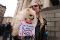 Срещу насилието над животни: Общественото недоволство не стихва (ОБЗОР)