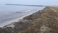Разлив на мазут край Варна