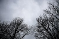 Предимно облачно време, с краткотрайни валежи в неделя