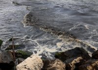 Частично бедствено положение е обявено във Варна заради разлива на нефтопродукти в морето