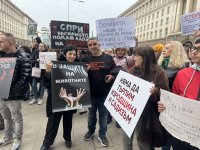 "Бъди гласът им" - пак протест срещу тормоза над животни