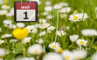 Честваме 1 май - Международен ден на труда