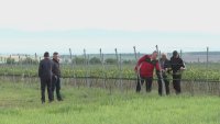 След градушките в Асеновградско - започва описването на щетите