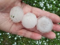 Градушка с големина на орех удари девет севлиевски села (СНИМКИ)